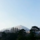 금바우골 이미지