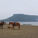 제주도가볼만한곳 올레길1코스 광치기해변 이미지