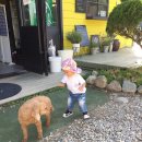 은유펜션 이미지