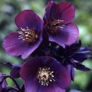 행복만들기 이미지