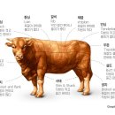 부위부위정육점 이미지