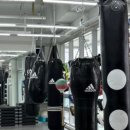 TH복싱짐 이미지