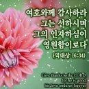 여정인 커버곡 이사람을 지켜주세요 이미지