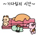 탕정한우