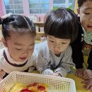 연장반(10.29)수요일😽알록달록 단풍나무를 꾸며요🍁😽 이미지