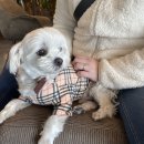 산해민박 이미지