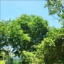 영부농장 이미지