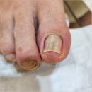 네일다움 이미지