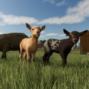 우승오피스마트 이미지