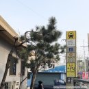 망미역 2번출구 바보형제쭈꾸미 앞 이미지