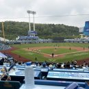 TC망고