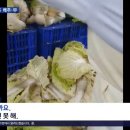 한성식품 이미지