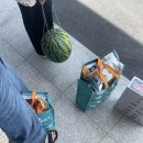 용남농협 하나로마트 본점 이미지