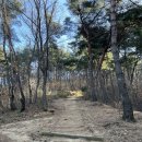 대송면 운제산등산로 이미지