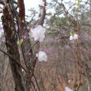 자드락마을민박 이미지