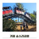 서정목장 | 거제 숲소리공원 아이와 가볼만한 곳(모노레일,양떼목장)
