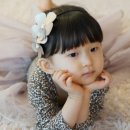 천송이플라워 이미지