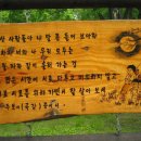 아름다운여행 이미지