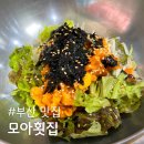 설빙 부산송도점 | 부산 송도 해수욕장 맛집, 모아횟집 물회와 멍게비빔밥 후기