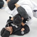 코리아체육관 | 장유체육관 또지코리아 대청점 와이주짓수 후기