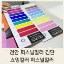 성정동 쇼잉컬러에서 받은 퍼스널컬러 진단 후기