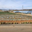 압해공인중개사사무소 이미지