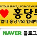 도로시데코 이미지