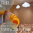 송정조경 | 신라모노그램 강릉 부대시설 총정리 리틀모노그램 키즈카페 송정해수욕장 후기