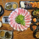 블루시안 | 광주차돌박이 생고기 맛집 운암회관 운암점