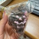 정민타운 | 유자나무에 유자가 열리고 귤나무에는 귤이 열리는 이 지순한 길은 바다로 기울었다.