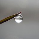 독     정 이미지