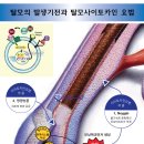 에스메드 이미지