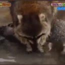 디스앤댓 이미지