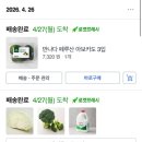 라이블리 그린스무디 도깨비 방망이로 만든 후기