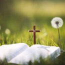 한국침례신학대학교 신학대학원 이미지