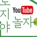 채널297 이미지