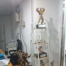 머슬팜짐 이미지