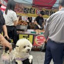 돼지꼬리천국 이미지