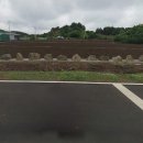 시흥리-2 이미지