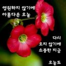 두여인과 신나부러 ~~~ 이미지