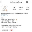 배부르댕 이미지