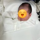 로베베 | 허그곰 옆잠베개 2세대 모로반사 출산선물 추천