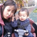 분당-383 이미지