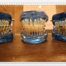 미소드림부평미치과의원 이미지