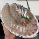 미조초밥 | 경남 남해ㅣ오픈콜해야 예약 가능한 포장회 맛집 “유서방회떠가시다”