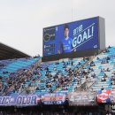빅버드