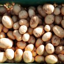 팔형제 농장 이미지