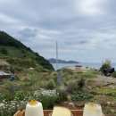 벌떡새우 이미지