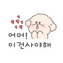 미스터카스테라