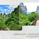 무릉도원 - 익산시 고도5길 17-2 | 무릉도원